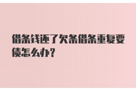 大同大同的要账公司在催收过程中的策略和技巧有哪些？